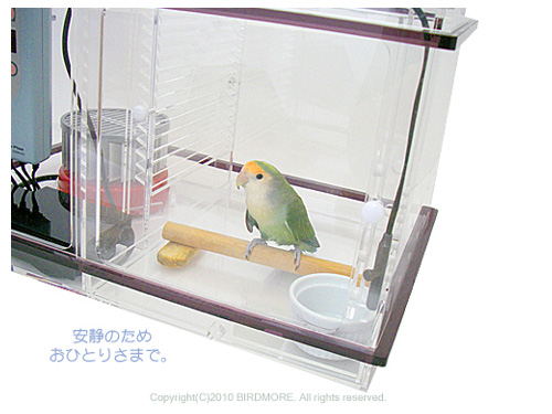 鳥専門店BIRDMORE(バードモア)/【More Style】飼鳥専用恒温保温ケース