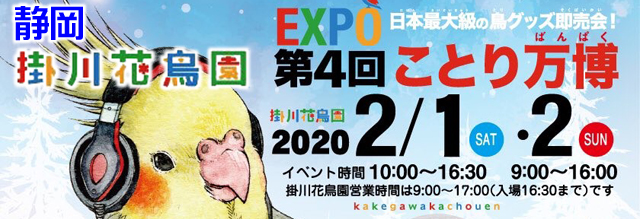 Birdmore 今週末は掛川花鳥園でことり万博開催 バレンタインにコトリョシカ缶チョコ 0130 鳥専門店 ｂｉｒｄｍｏｒｅ インコ オウムと鳥グッズ 鳥用品の専門店